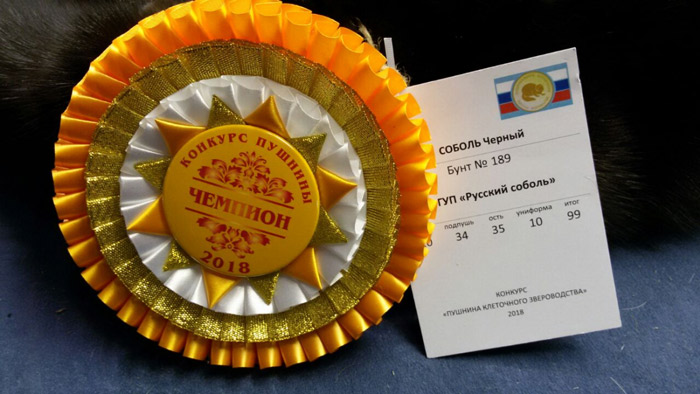 Фото: msh.mosreg.ru Племхозяйство «Русский соболь» стало чемпионом в конкурсе пушнины.