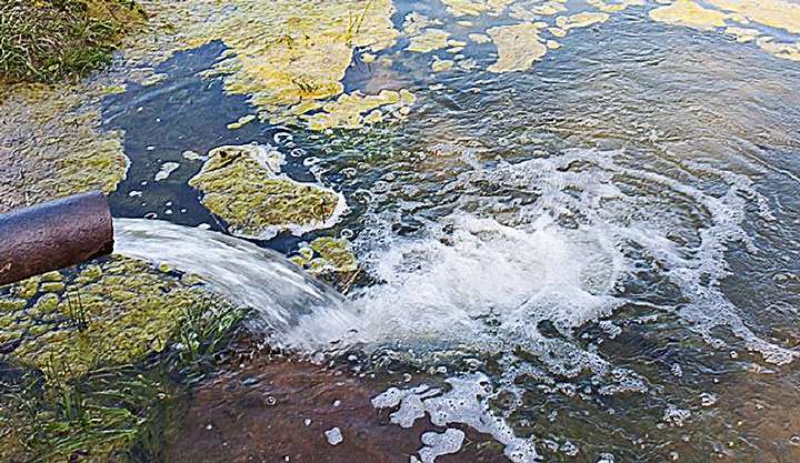Две управляющие компании в Пушкинском городском округе  оштрафованы за загрязнение рек.