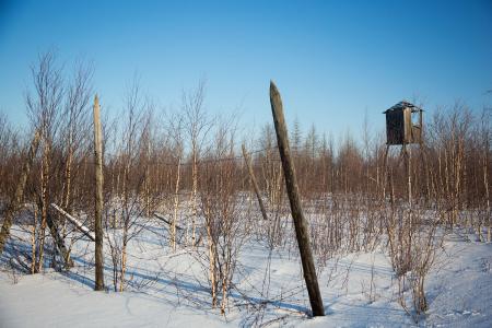 Лагерная зона неподалеку от Надыма