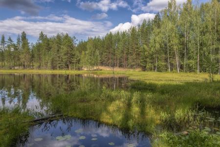 Где-то в Карелии