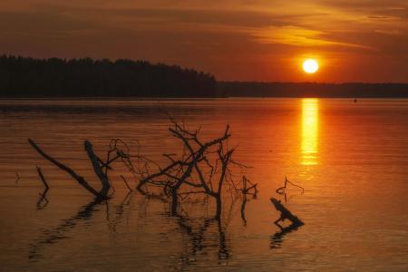 Учинское  водохранилище