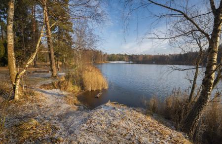 Второе декабря