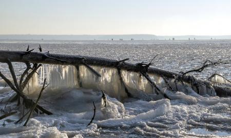 Учинское  водохранилище