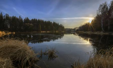 Черная речка