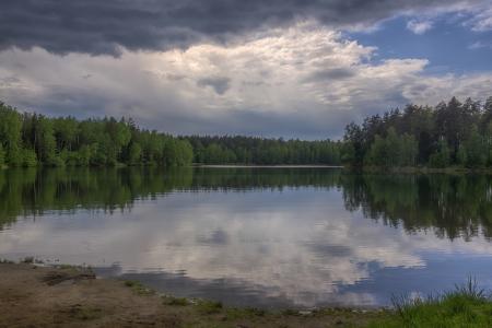 Черноголовка